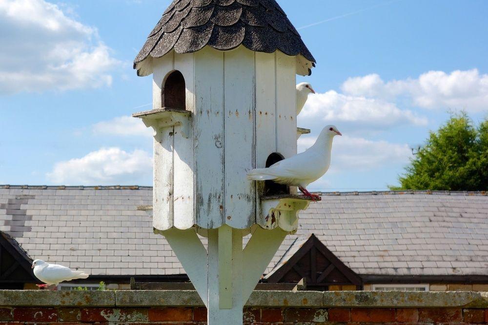 Widbrook Grange Guest House Bradford-On-Avon Luaran gambar